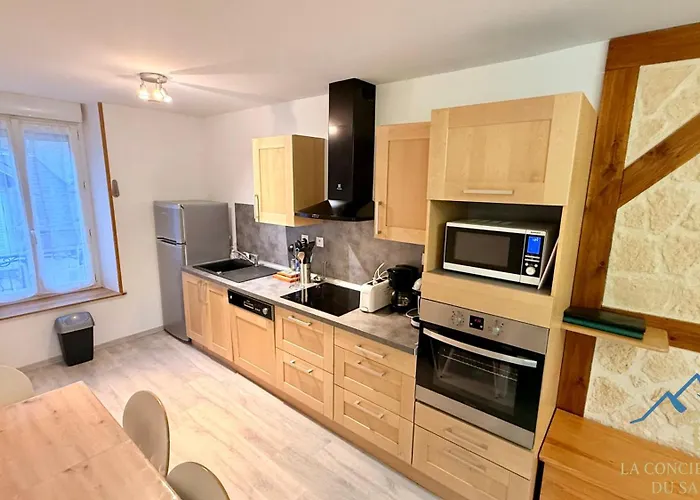 Appartement Mont-dore Le Mont-Dore